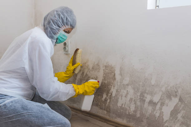 Best Water Damage Restoration  in Cordele, GA