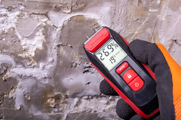 Best Professional Mold Removal  in Cordele, GA