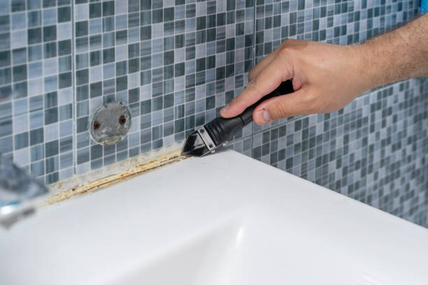 Professional Mold Removal in Cordele, GA